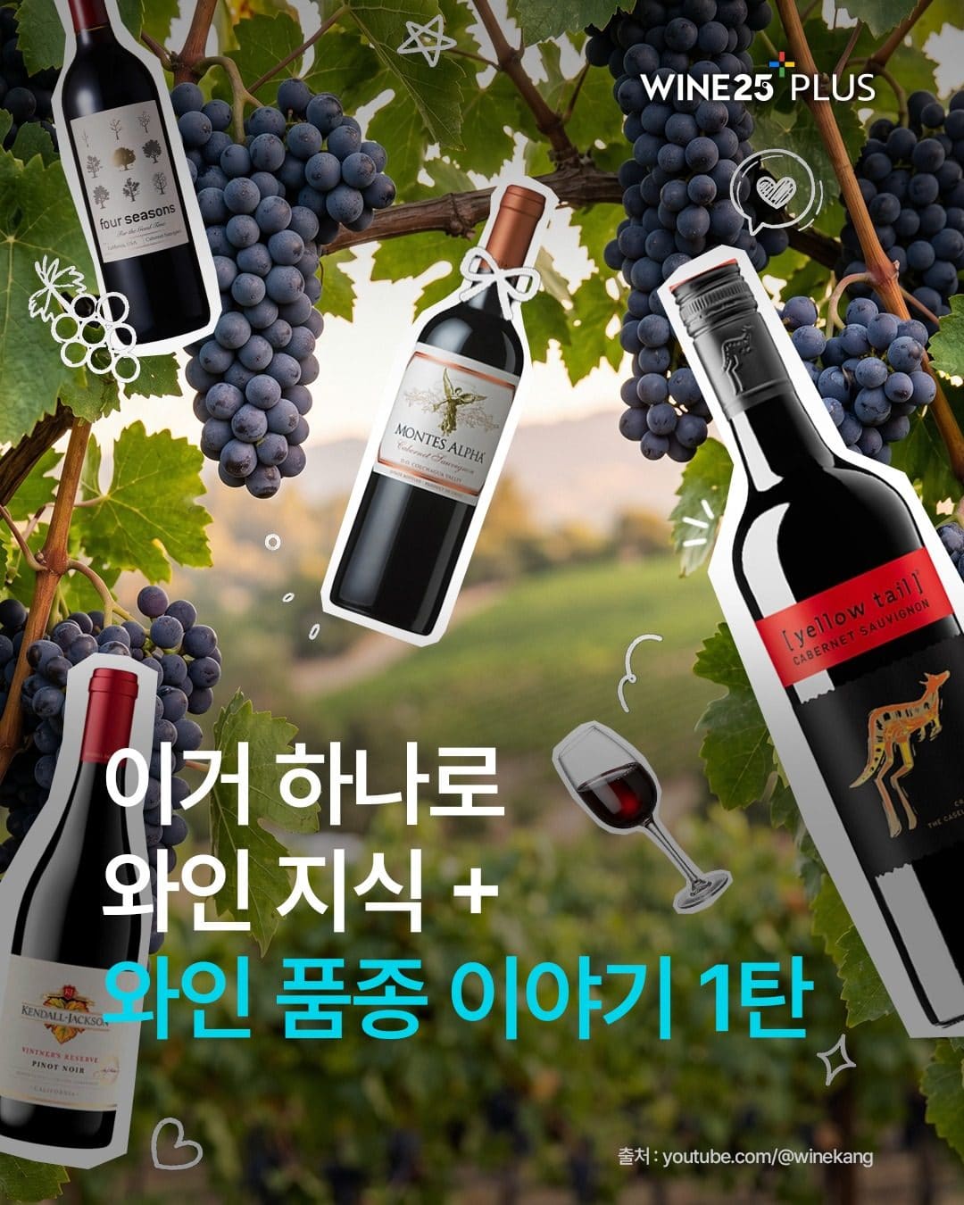 GS25 와인25플러스가 알려주는 와인 품종 이야기! 까베르네 소비뇽 vs 메를로🍷 이미지 1