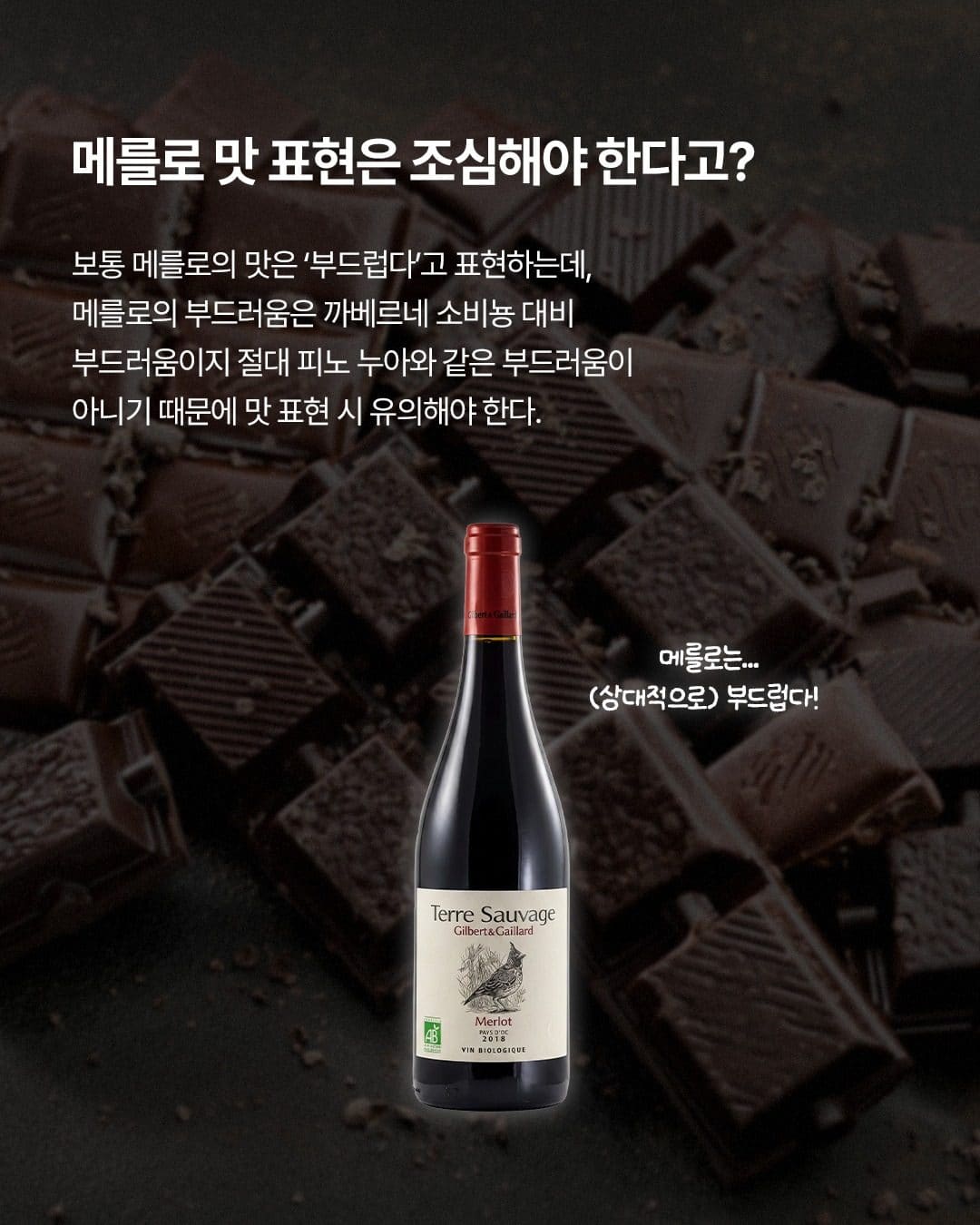 GS25 와인25플러스가 알려주는 와인 품종 이야기! 까베르네 소비뇽 vs 메를로🍷 이미지 3