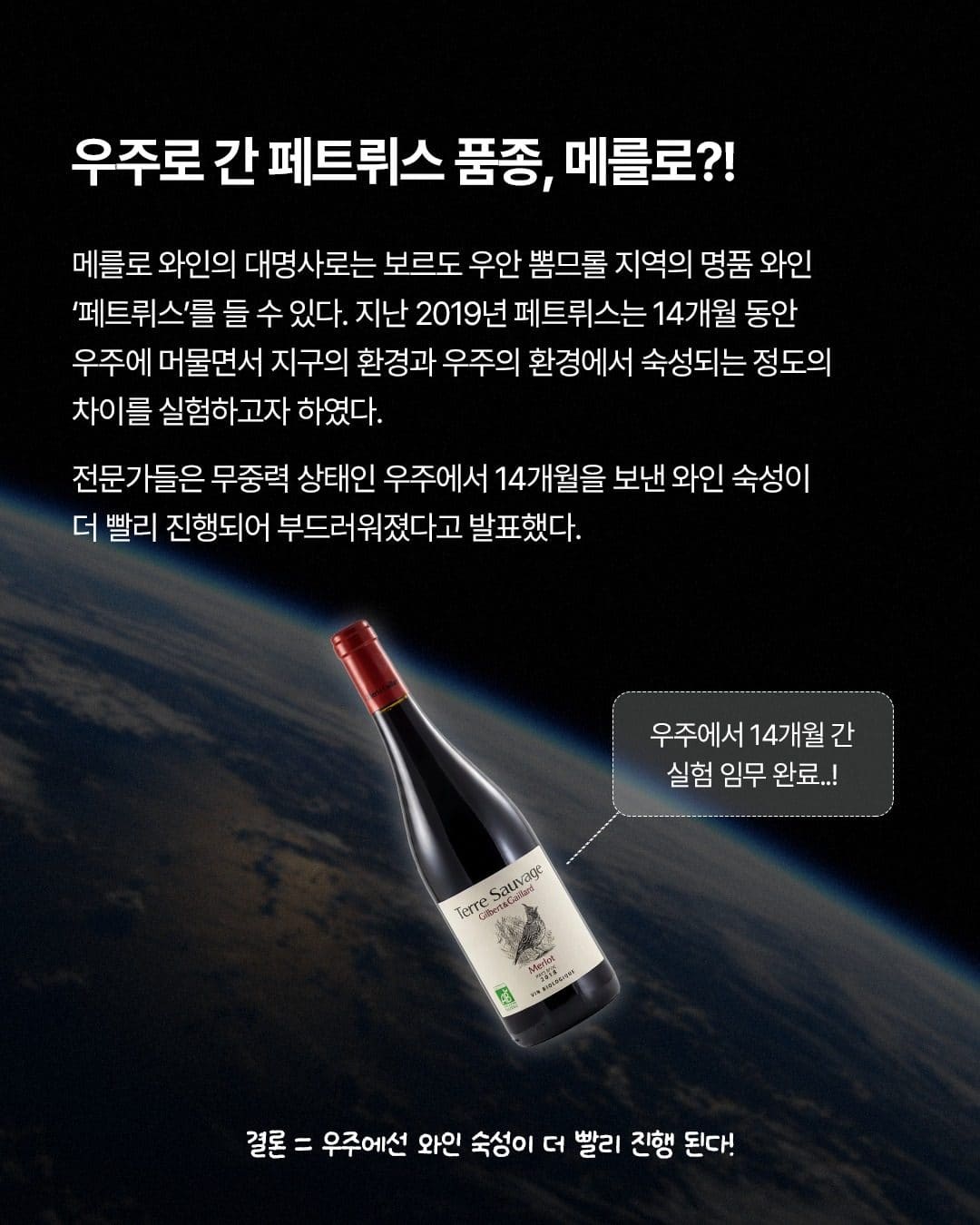 GS25 와인25플러스가 알려주는 와인 품종 이야기! 까베르네 소비뇽 vs 메를로🍷 이미지 4