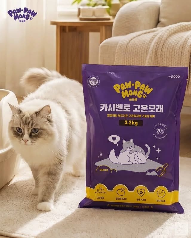 다이소 5월 신상 추천! 계산기부터 고양이 모래·펫 분유까지🐱💚 이미지 3
